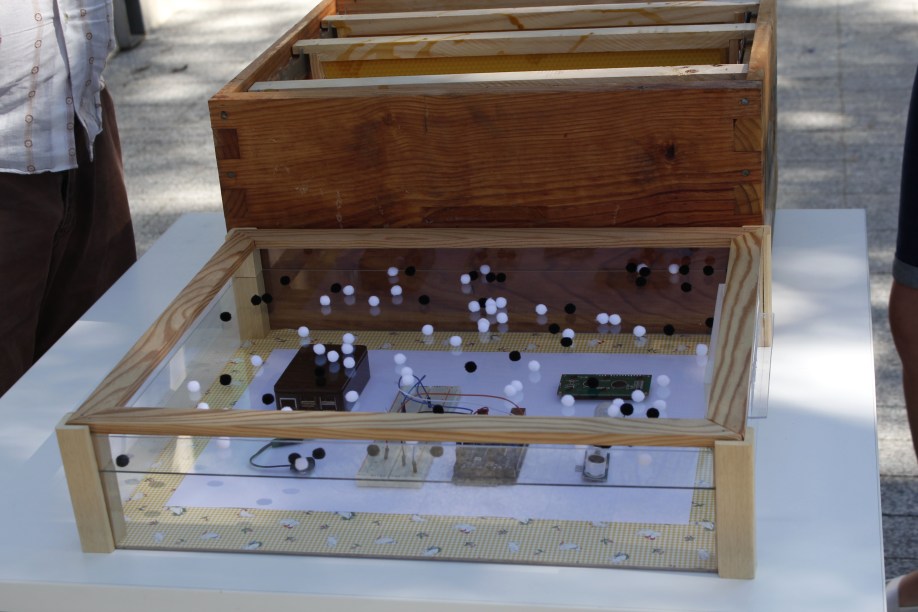 habierta, hacendera abierta, fcayc, colmena, abejas